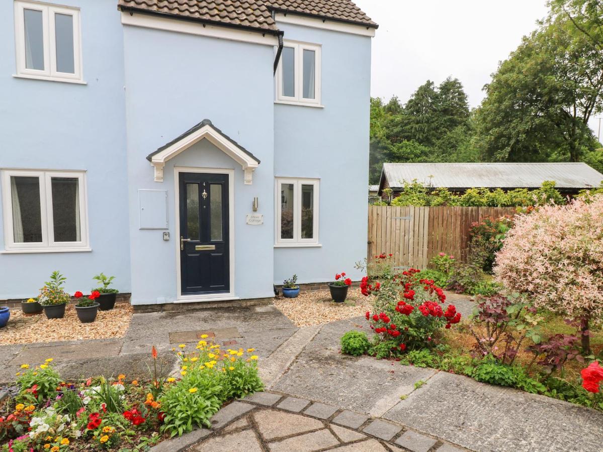 Mews Cottage كرمرثن المظهر الخارجي الصورة