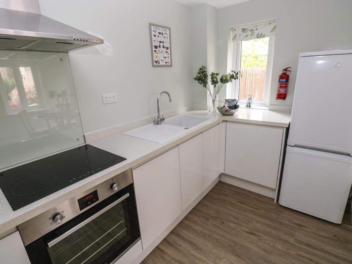 Mews Cottage كرمرثن المظهر الخارجي الصورة